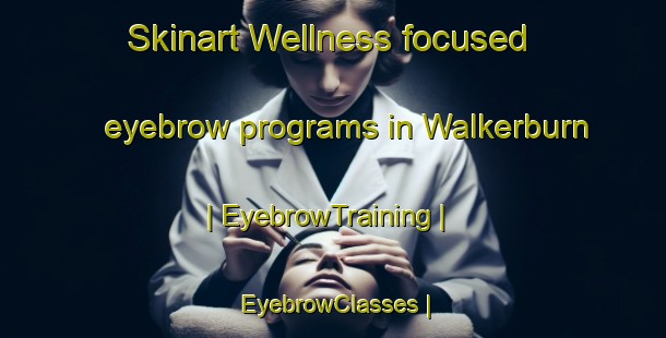 Skinart Wellness-focused eyebrow programs in Walkerburn | EyebrowTraining | EyebrowClasses | SkinartTraining-Canada
